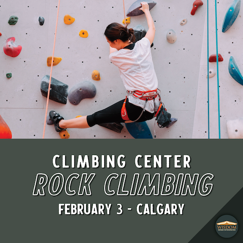 Indoor Rock Wall Climbing - Calgary L